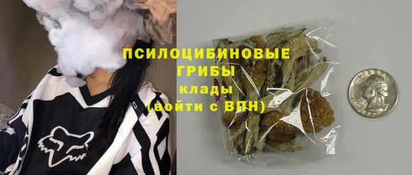 стафф Алексин