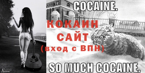 стафф Алексин