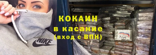 стафф Алексин
