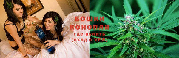 ECSTASY Алексеевка