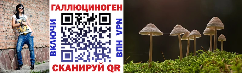 hydra зеркало  Конаково  Галлюциногенные грибы MAGIC MUSHROOMS  что такое наркотик 