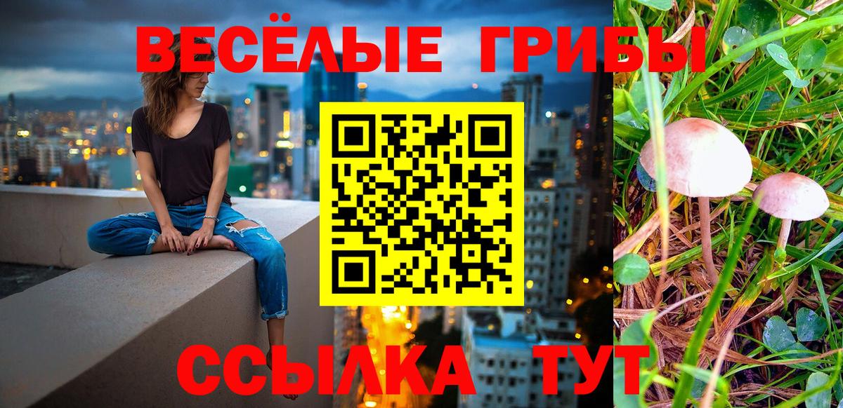 Конаково  наркотики  Вход с VPN  Псилоцибиновые грибы прущие грибы  Псилоцибиновые грибы ЛСД 